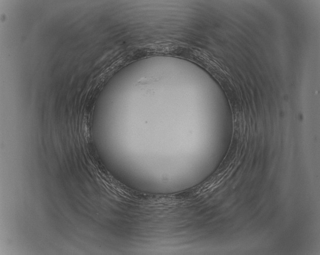 X0000075851058200609150925