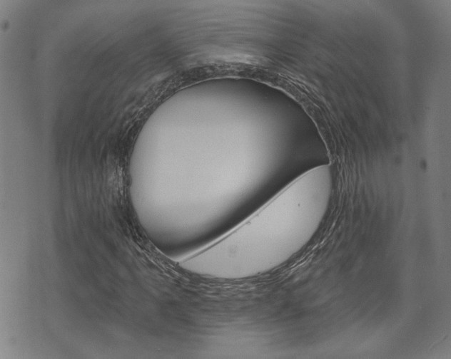 X0000075851061200609150925