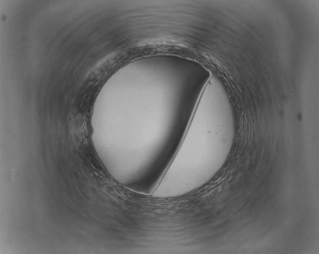 X0000075851062200609150925