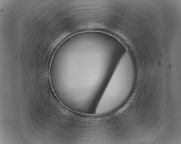 X0000075851073200609150925