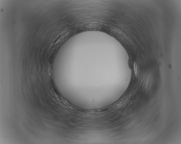 X0000075851107200609150923