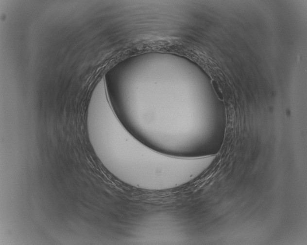 X0000075851109200609150923