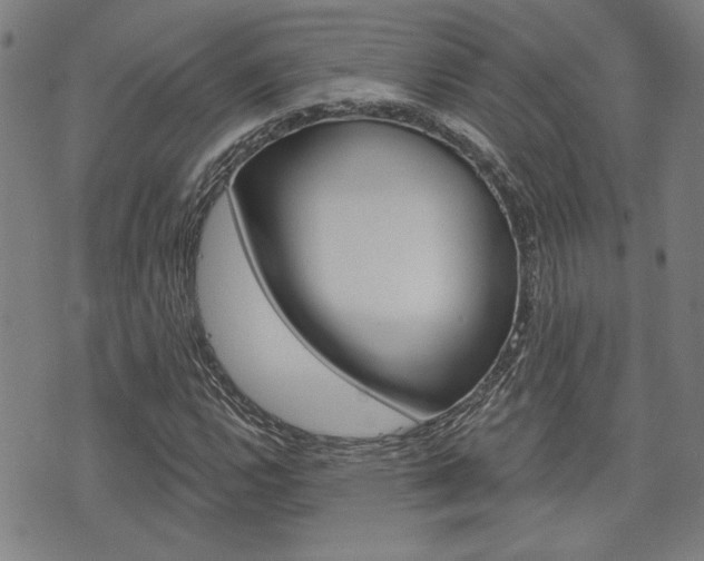 X0000075851112200609150923