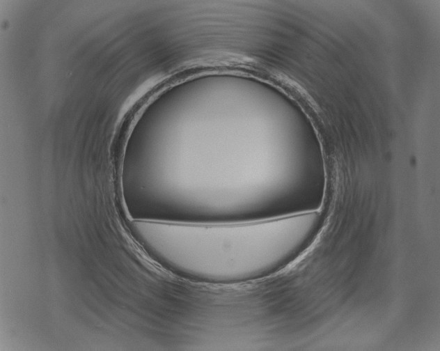 X0000075851114200609150923