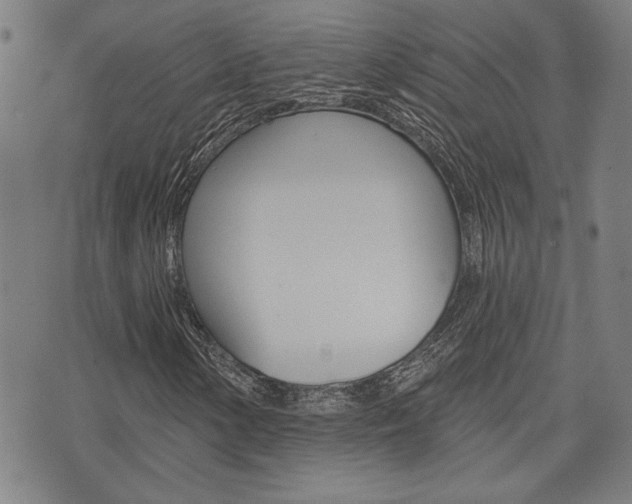 X0000075851154200609150923