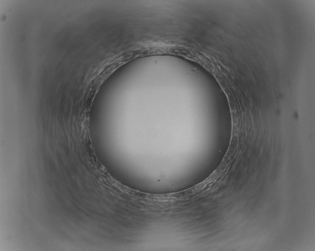 X0000075851157200609150923