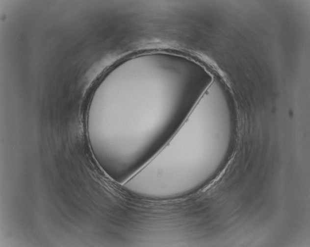 X0000075851167200609150923