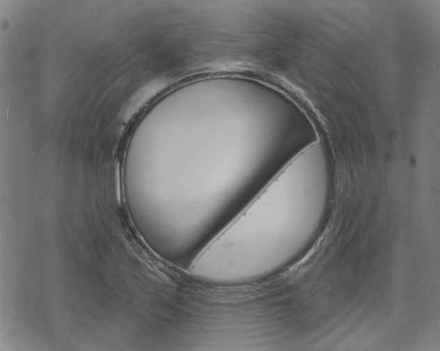 X0000075851171200609150923