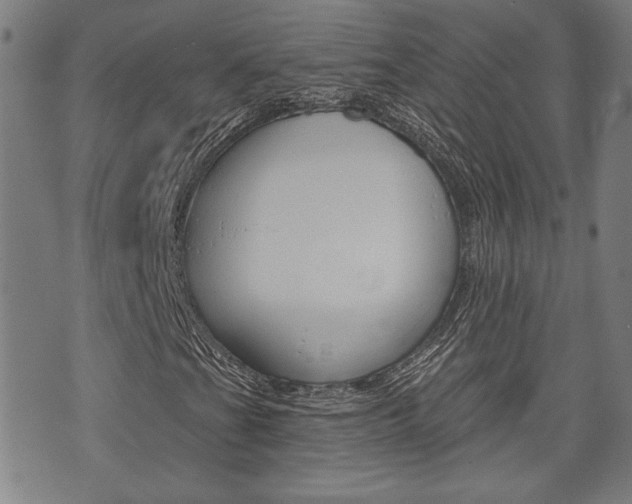 X0000075851201200609150922
