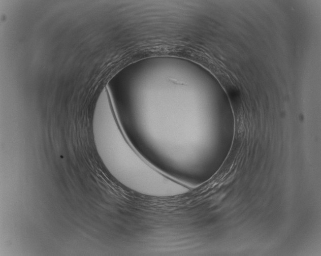 X0000075851202200609150922