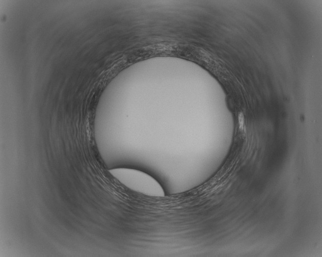 X0000075851203200609150922