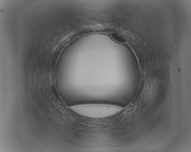 X0000075851205200609150922