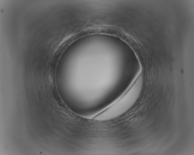 X0000075851206200609150922