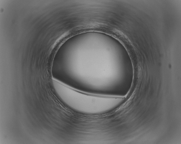 X0000075851210200609150922