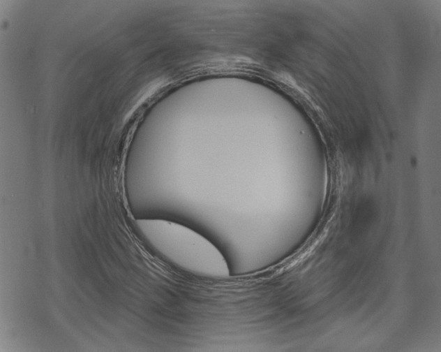 X0000075851211200609150922