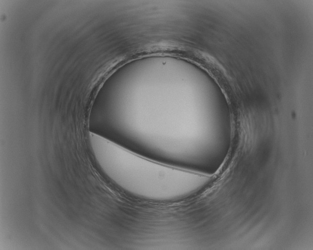 X0000075851217200609150922
