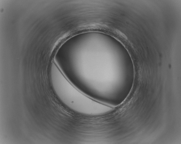 X0000075851218200609150922