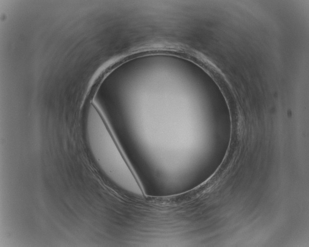 X0000075851222200609150922