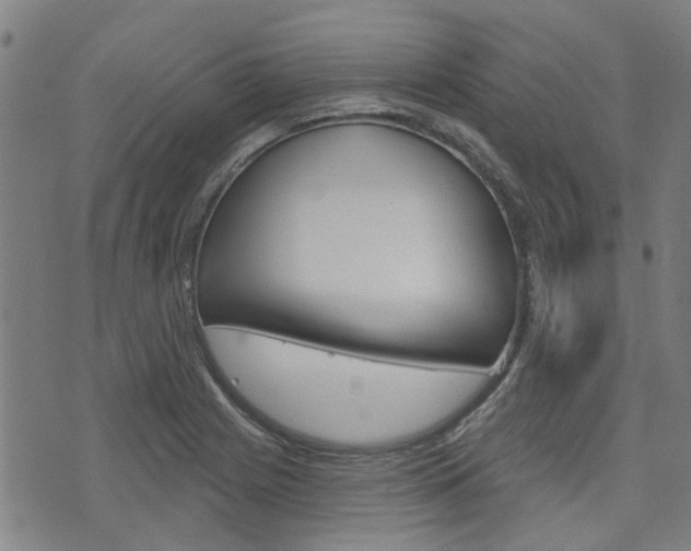 X0000075851225200609150922