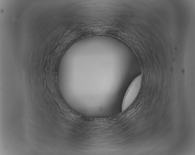 X0000075851249200609150922
