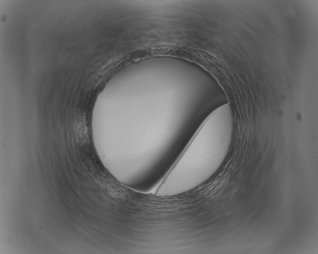 X0000075851252200609150922