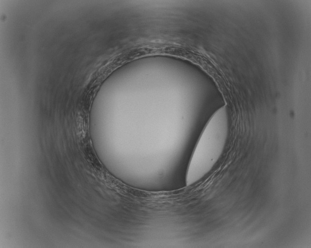X0000075851253200609150922