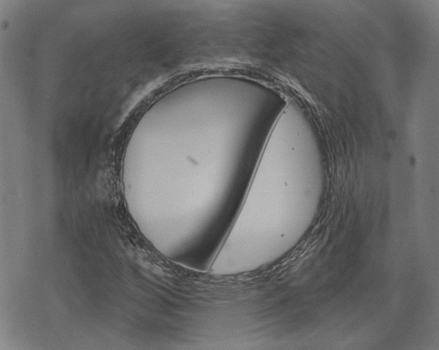 X0000075851256200609150922