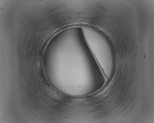 X0000075851257200609150922