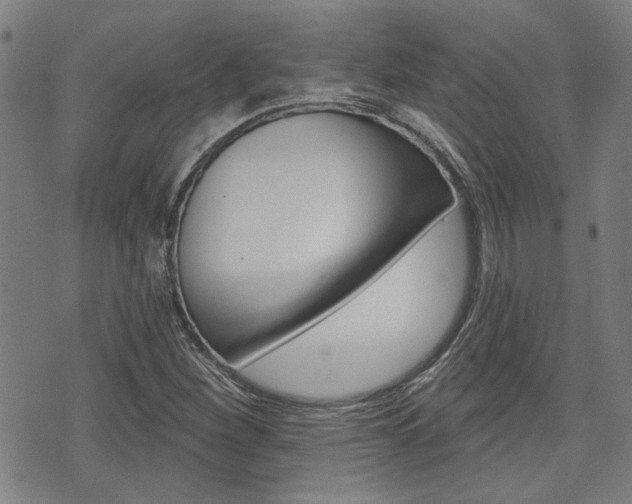 X0000075851260200609150922
