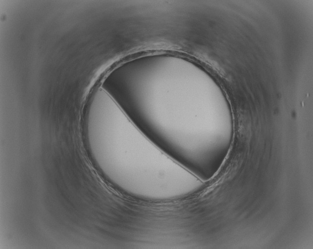 X0000075851264200609150921