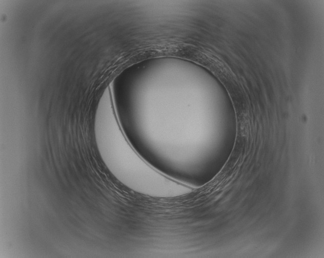 X0000075851298200609150920
