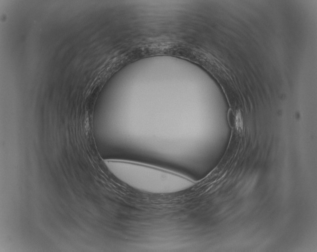 X0000075851299200609150920