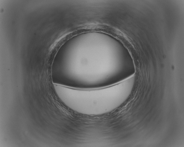 X0000075851304200609150920