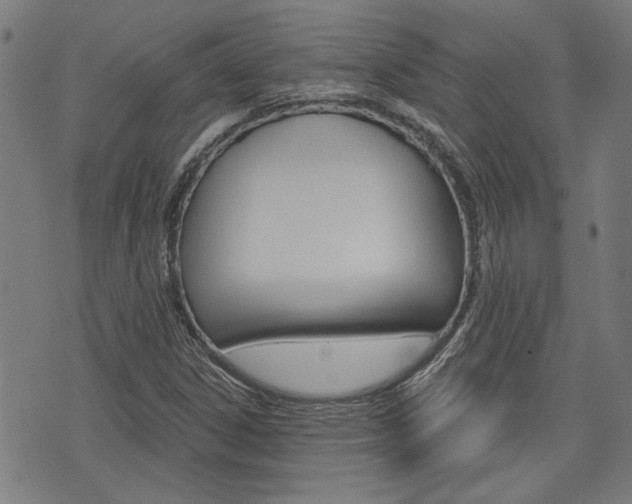 X0000075851306200609150920