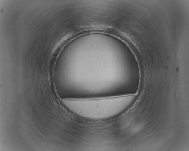 X0000075851307200609150920