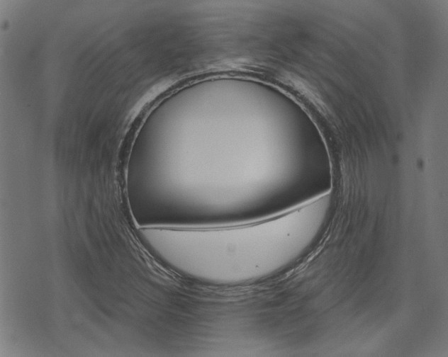 X0000075851308200609150920