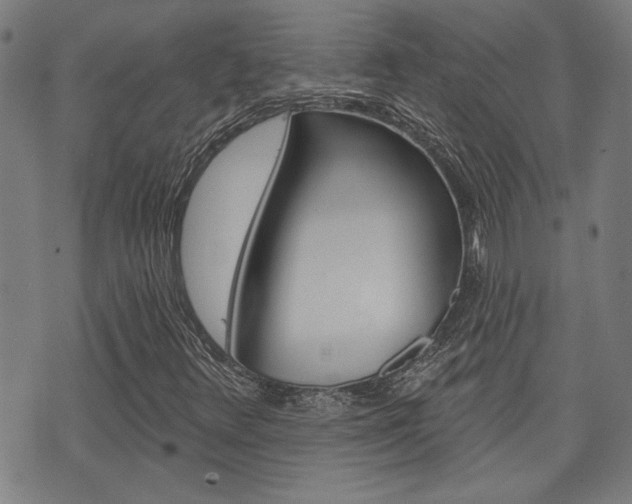 X0000075851348200609150920