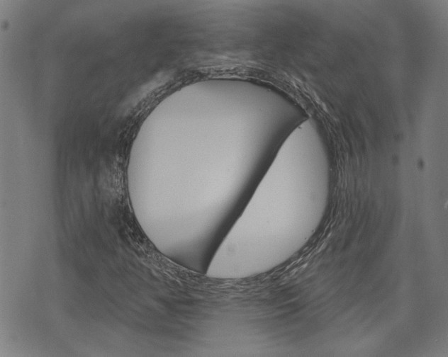 X0000075851350200609150920