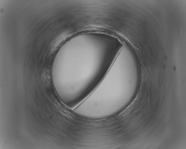 X0000075851355200609150920