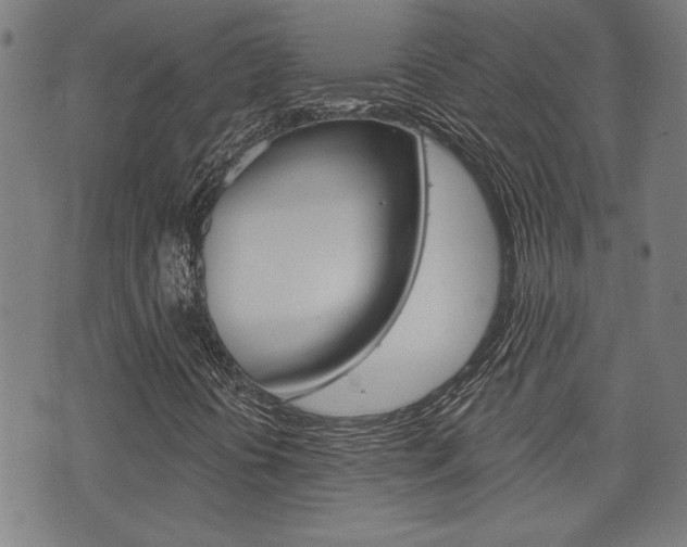 X0000075851394200609150919