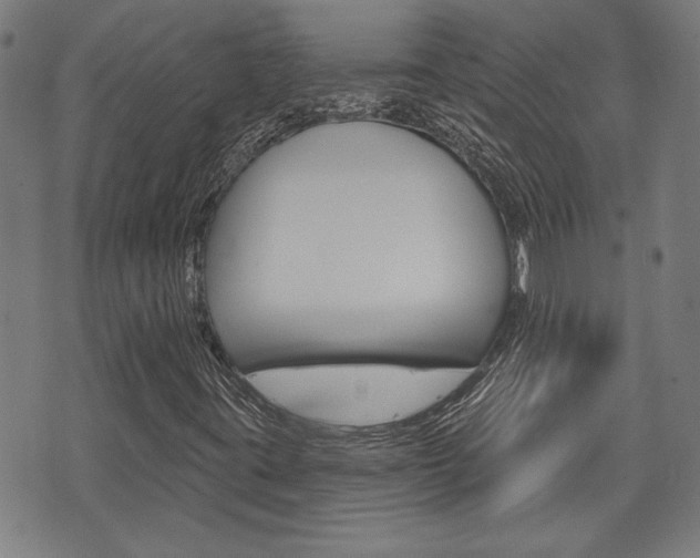 X0000075851395200609150919