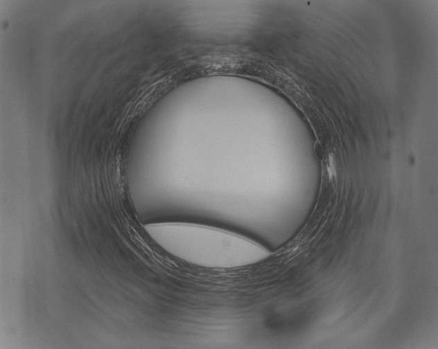 X0000075851396200609150919