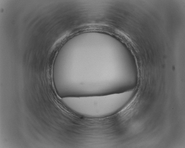 X0000075851403200609150919