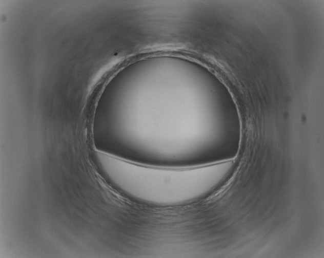 X0000075851406200609150919