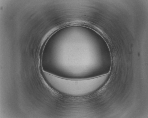 X0000075851418200609150919