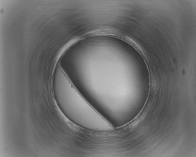 X0000075851434200609150919