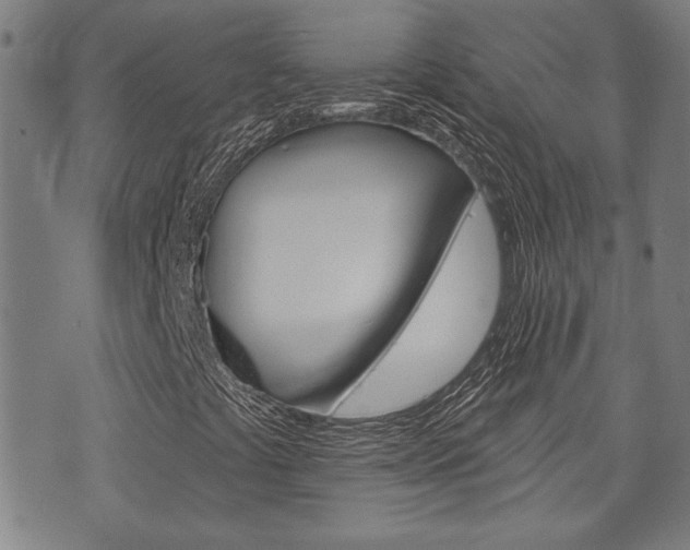X0000075851441200609150919