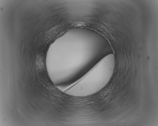 X0000075851442200609150919