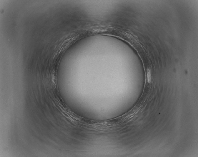 X0000075851444200609150919