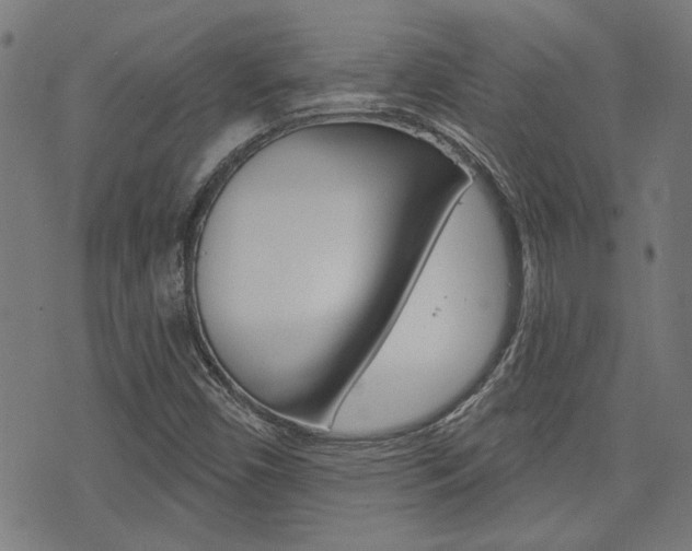 X0000075851450200609150918